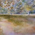 Orchard