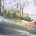 Field, Summer
